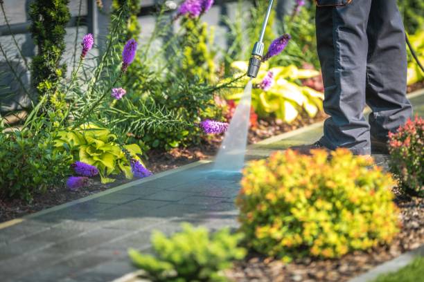 Reliable East Aurora, NY Pressure Washing Services Solutions