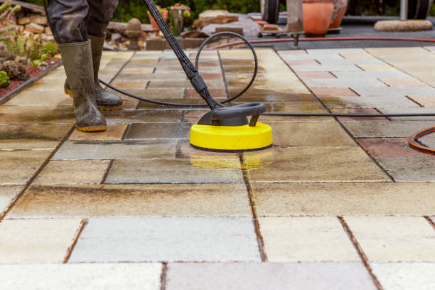 Animal Enclosure Cleaning in East Aurora, NY